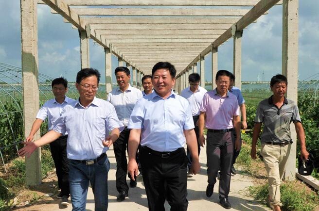 苏志富来淮海开展解放思想大讨论活动专题调研.jpg