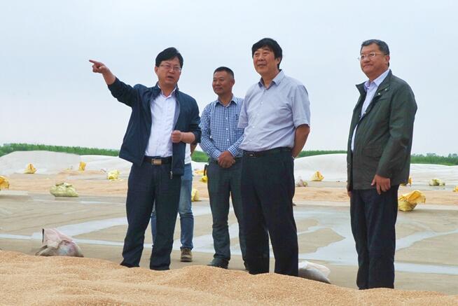 集团公司总经理胡兆辉到淮海检查指导工作31.jpg