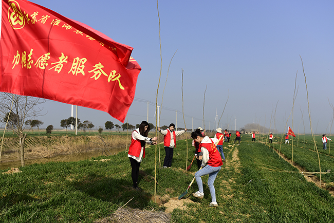 淮海农场公司女职委组织巾帼志愿者开展植树造林活动.jpg
